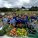 A growing space for learning and community