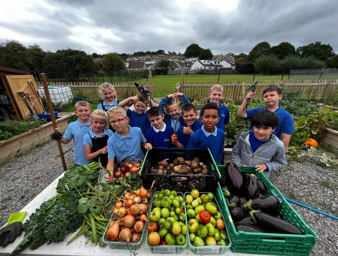 A growing space for learning and community