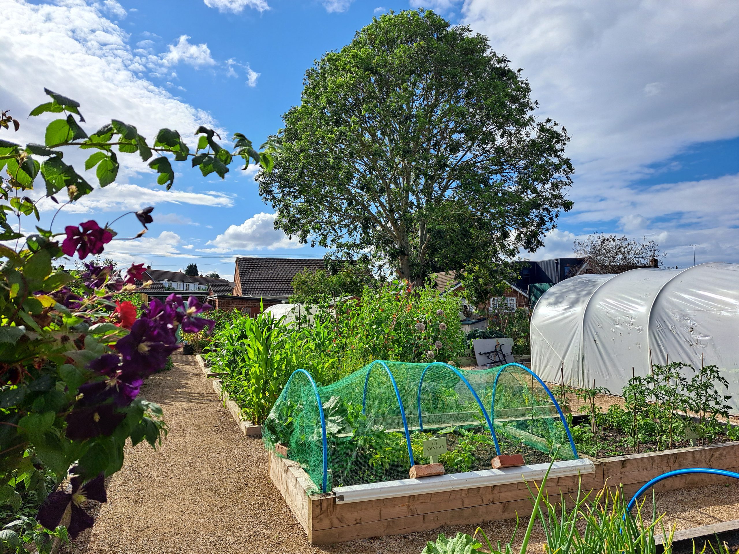 Connecting communities through gardening
