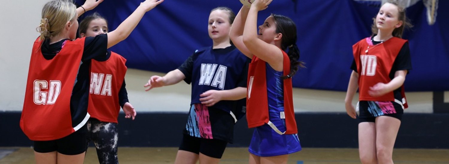 How to use our Grants Hub